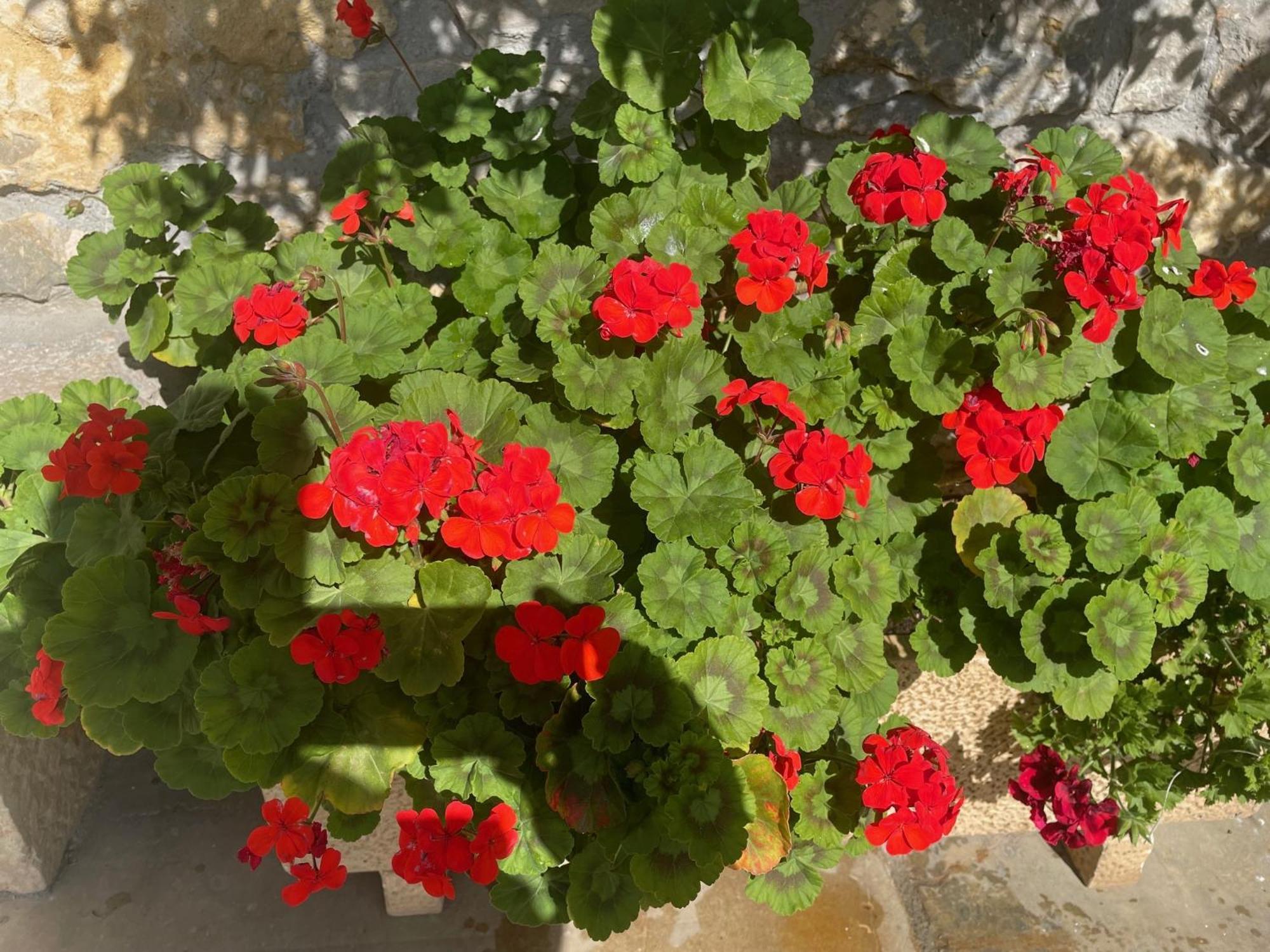 Posada La Victoria Miengo Dış mekan fotoğraf